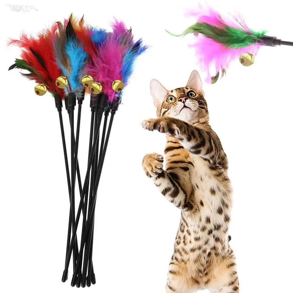 Feather Cat Wand (5-Pack) - photo 2