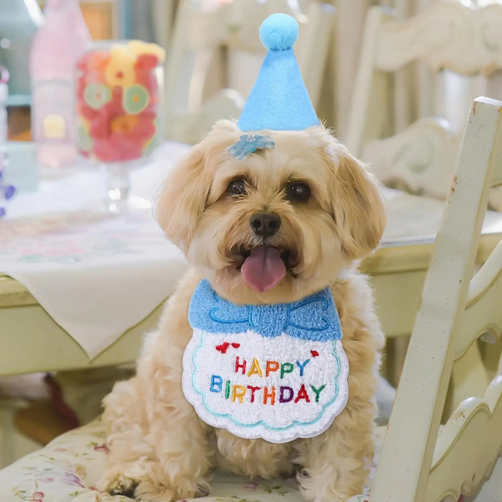 Pet Birthday Bandana & Hat Set - photo 4