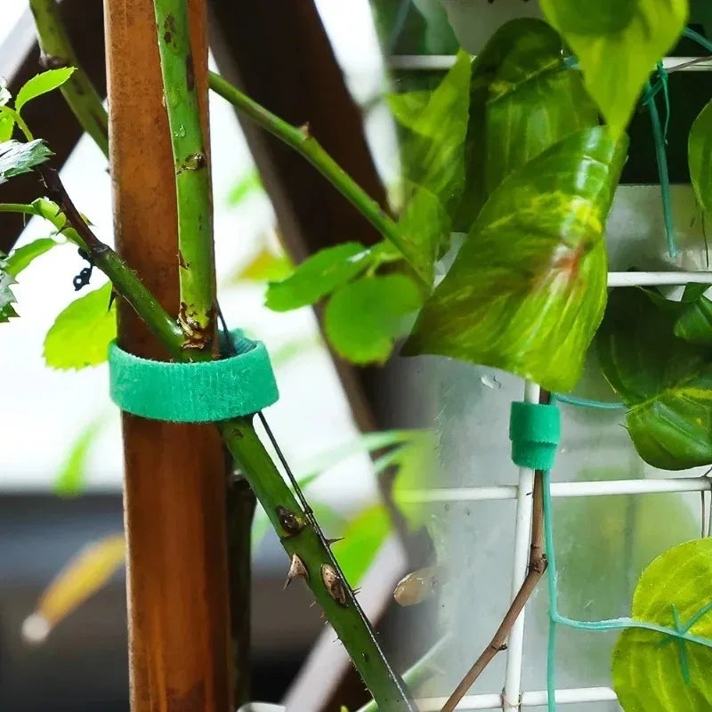 Reusable Garden Plant Ties - photo 6