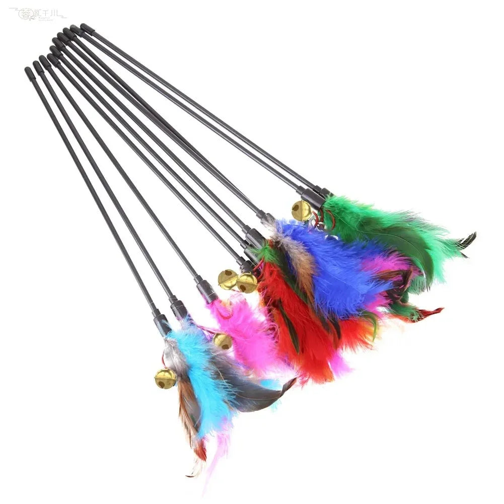 Feather Cat Wand (5-Pack)