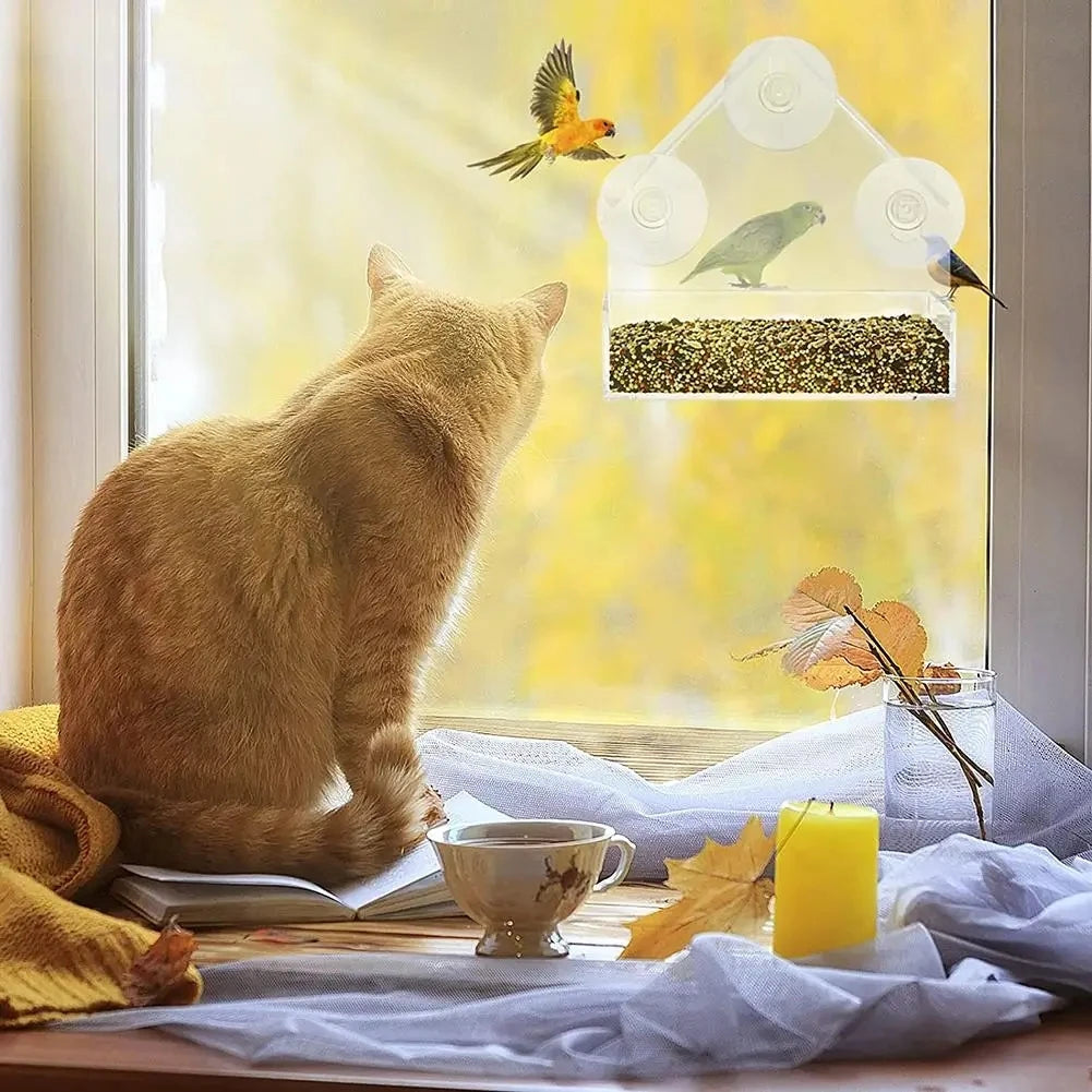 Clear Window Bird Feeder - photo 4
